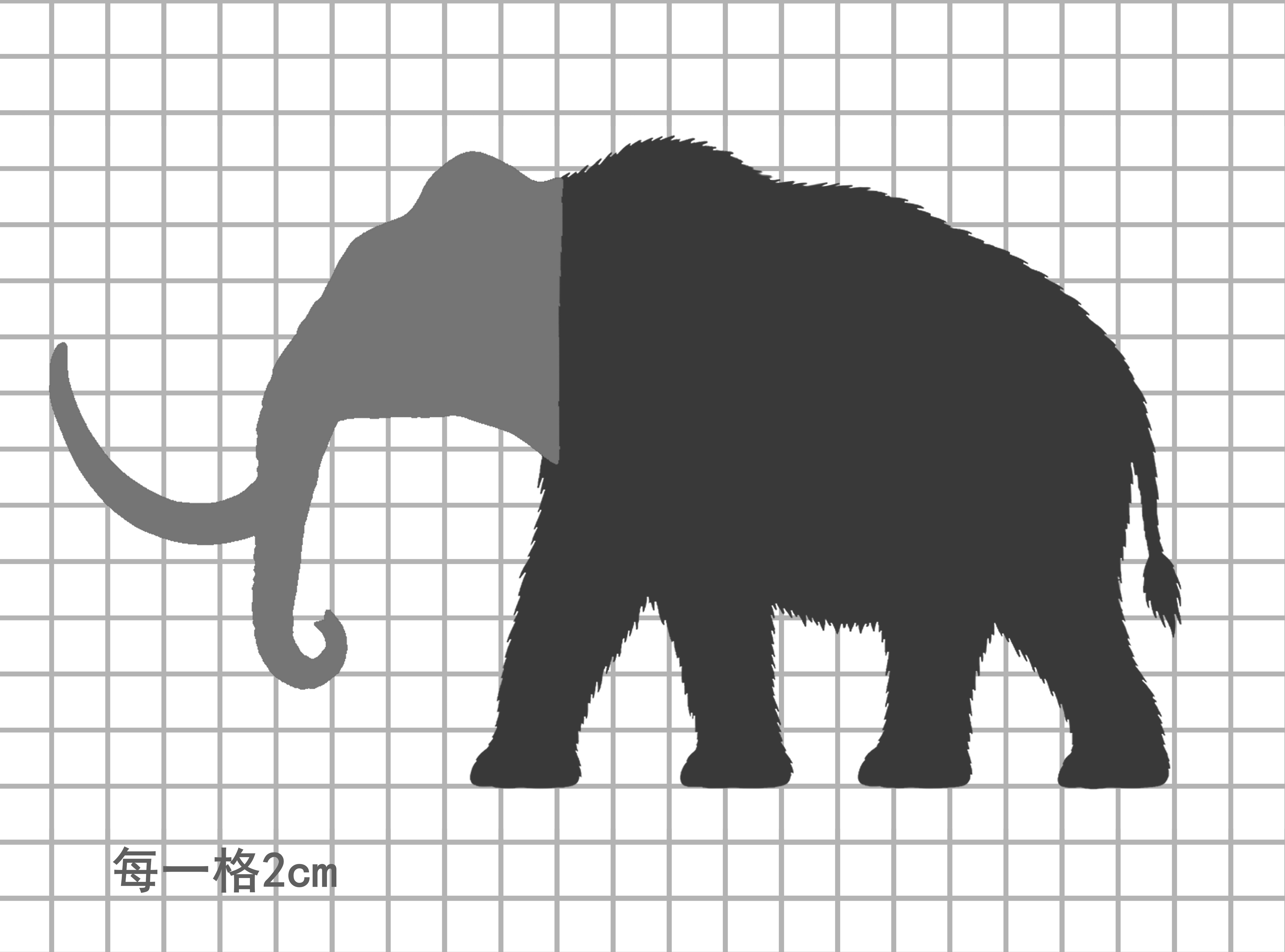兽头系列古兽款真猛犸象比例图