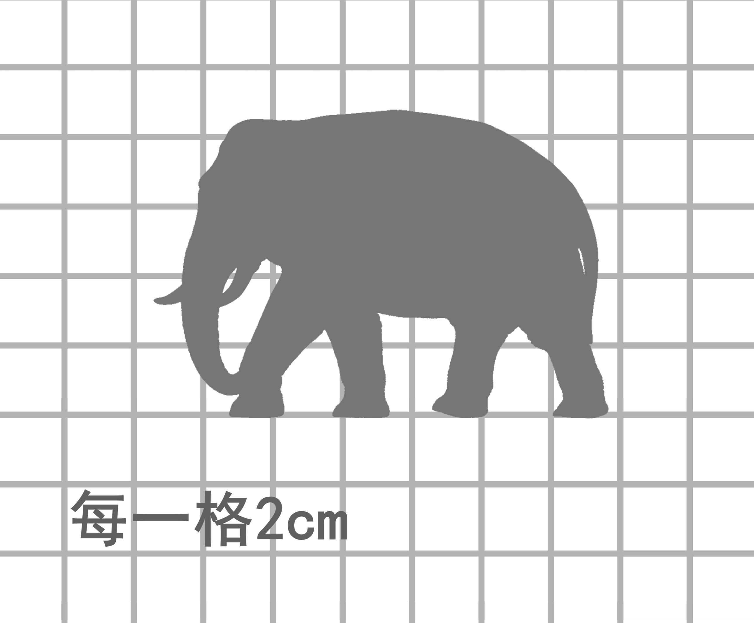 亚洲象铜雕比例图