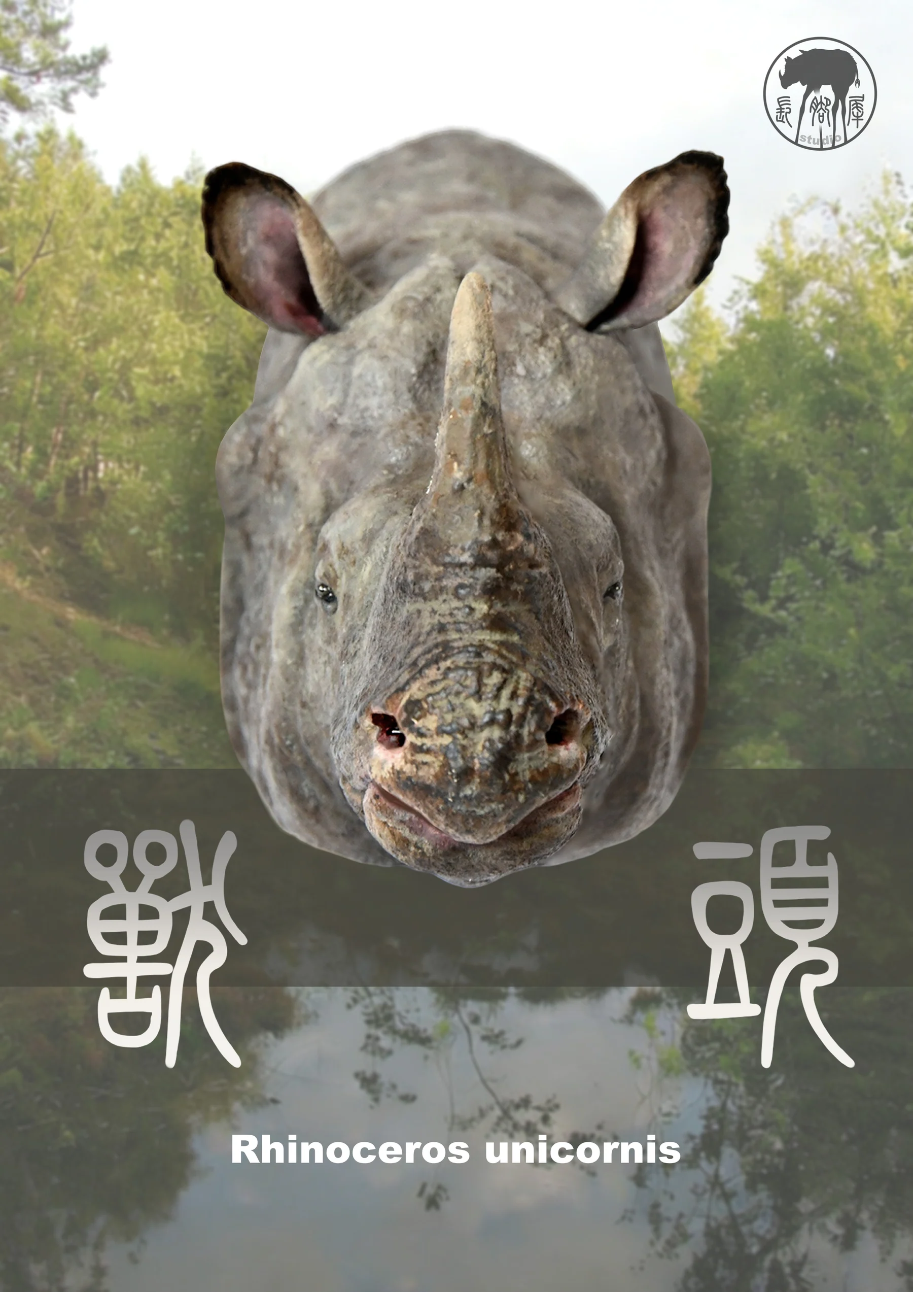 兽头系列限定款印度犀牛封面
