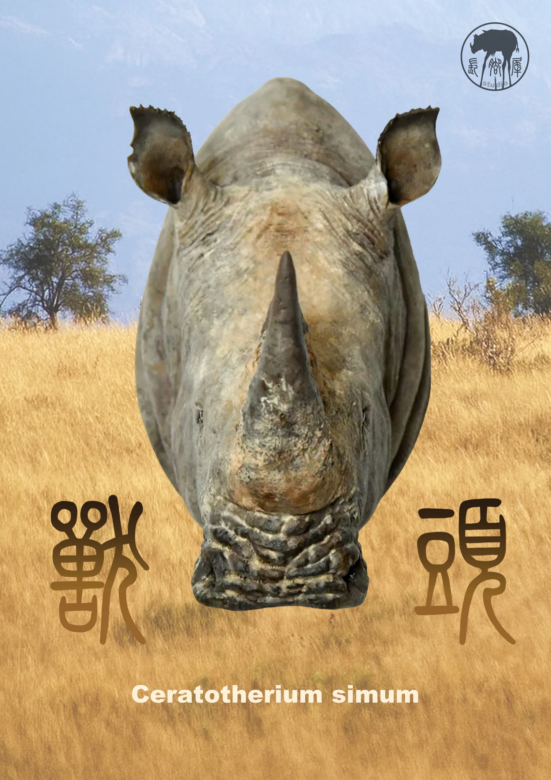 兽头系列限定款白犀牛封面