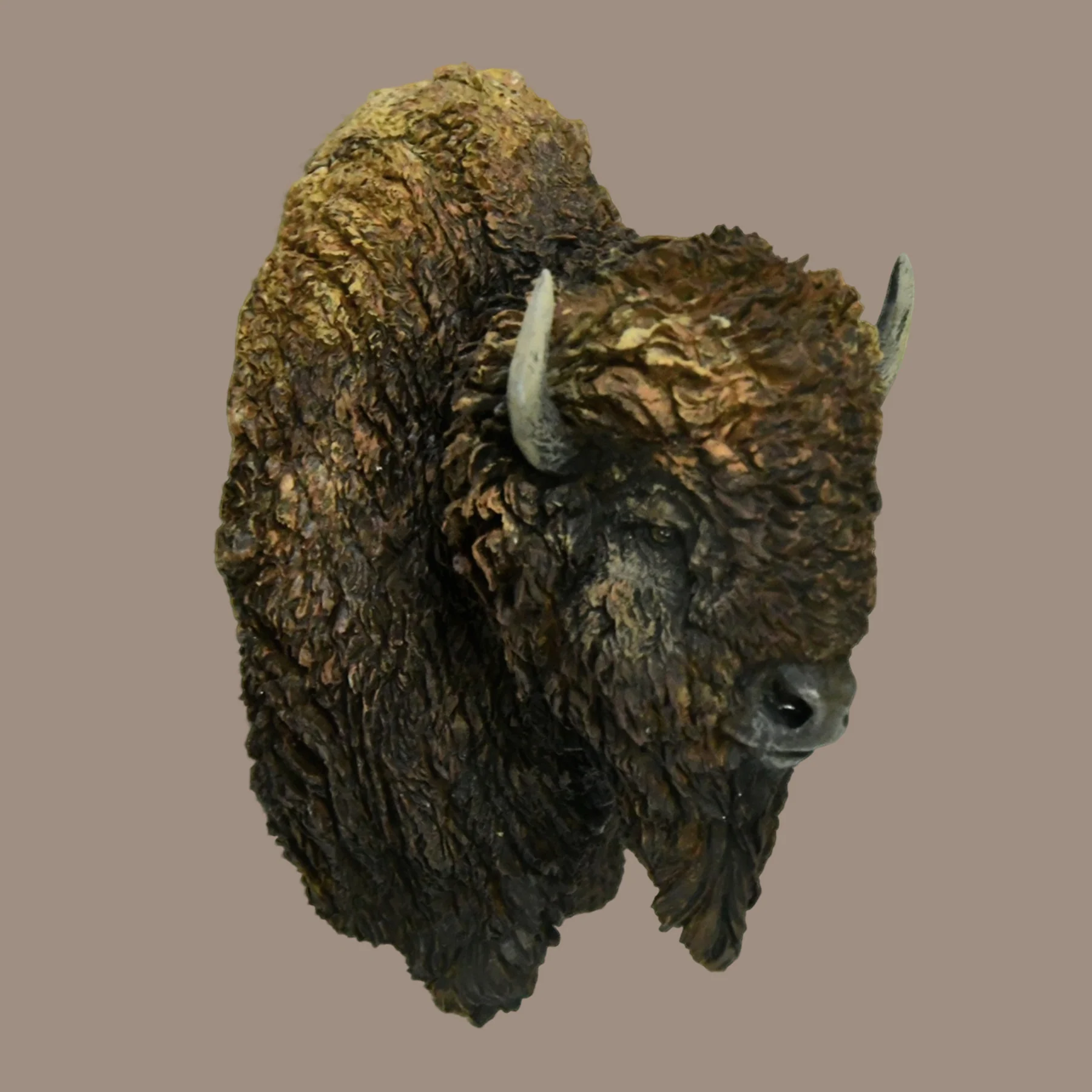 美洲野牛兽头作品图3