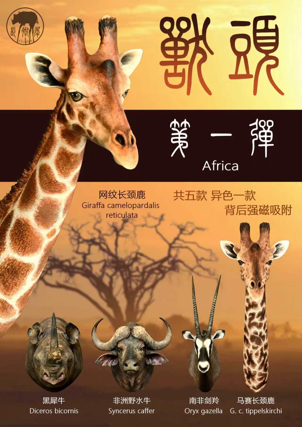 兽头系列基础款第一弹 Africa 封面